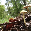 Foto-Forum BEFO-2014-  020